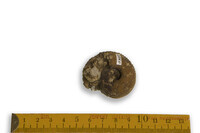 F 02249
<br/>
<br/>
<em></em>